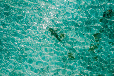 The deadly truth behind Squalene, Squalane